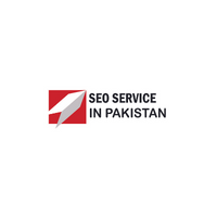 SEO Services In Pakistan