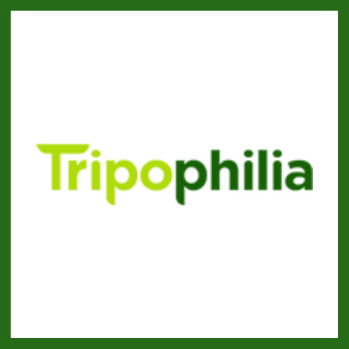 Tripophilia