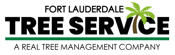 Fort Lauderdale Tree Service