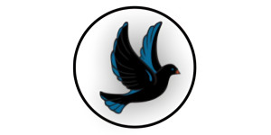 NoirDove
