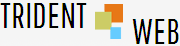 Trident Web Infoservices