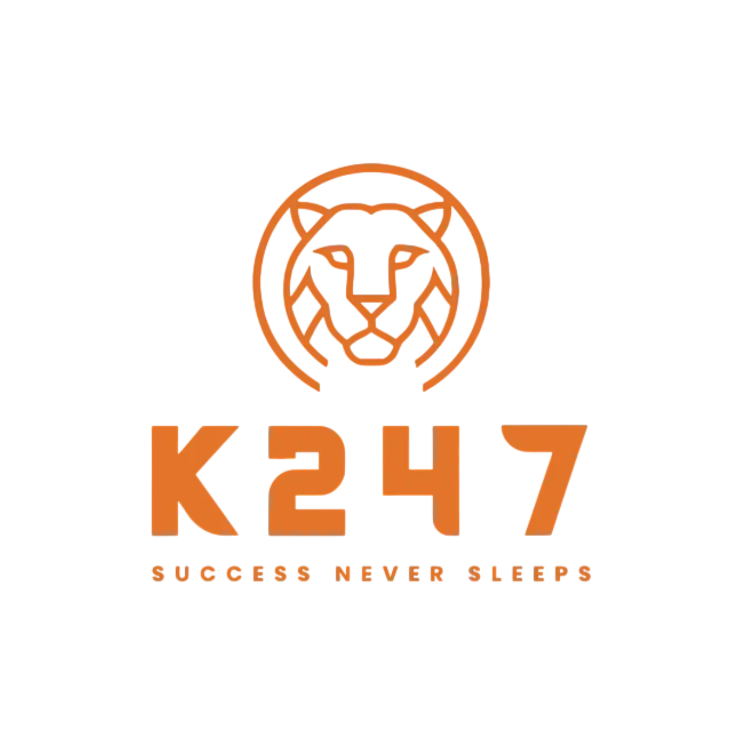 K247 Consult