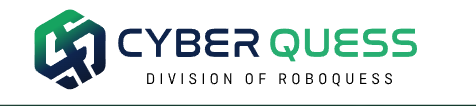 Cyber Quess